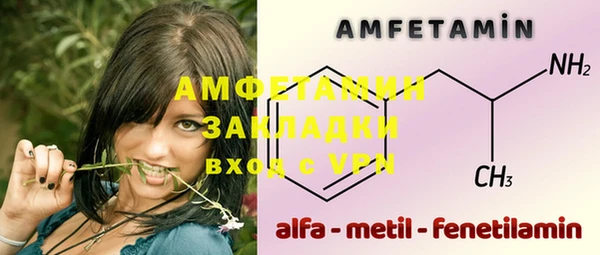 гашик Козельск