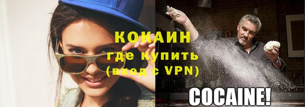 гашик Козельск