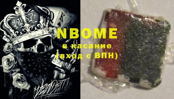 гашик Козельск