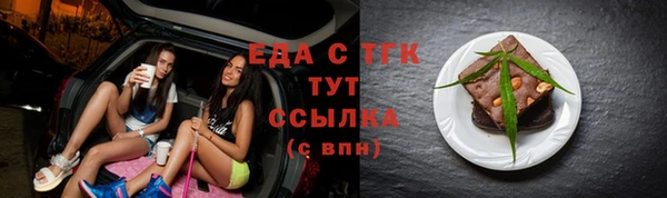 гашик Козельск