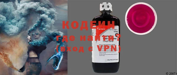 гашик Козельск