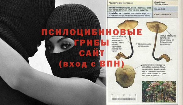 гашик Козельск