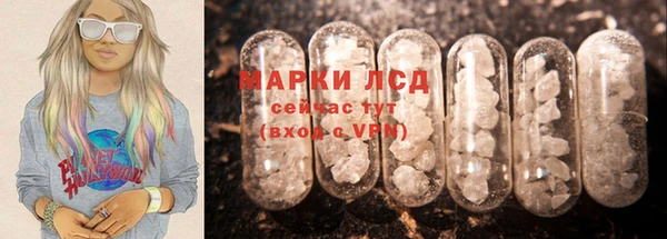 гашик Козельск