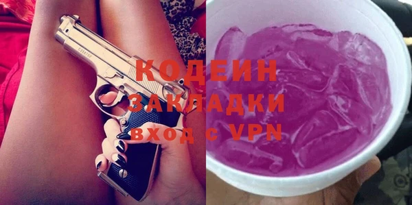 гашик Козельск