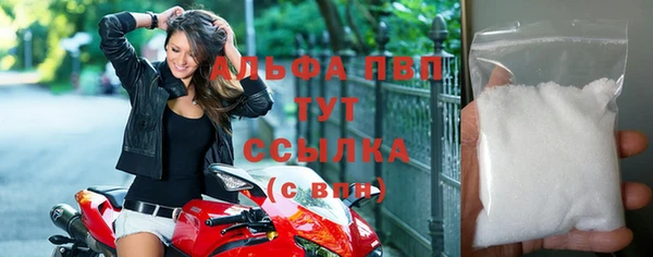 гашик Козельск