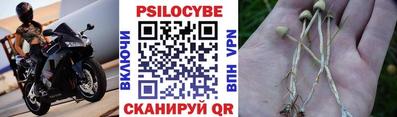 Галлюциногенные грибы Magic Shrooms  Купить  Курганинск 