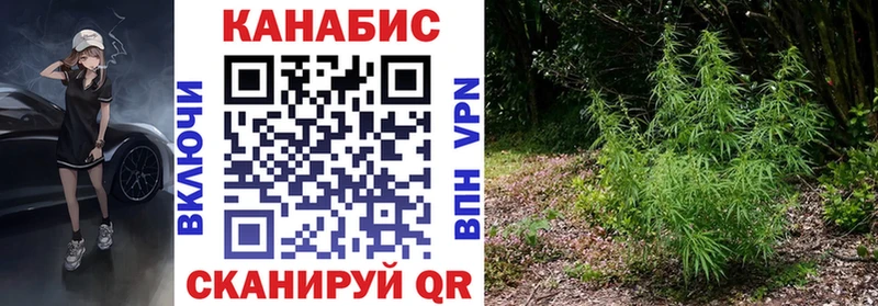 Купить  Курганинск  Каннабис MAZAR 